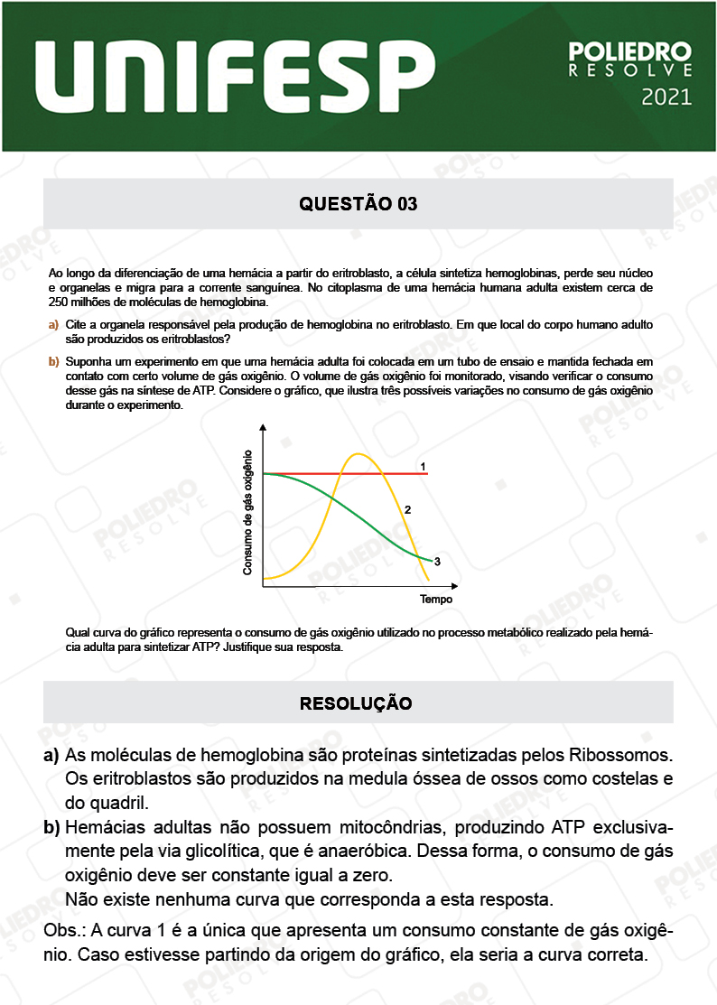 Dissertação 3 - Fase única - 2º Dia - UNIFESP 2021