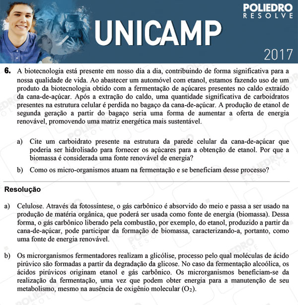 Dissertação 6 - 2ª Fase 3º DIA - UNICAMP 2017