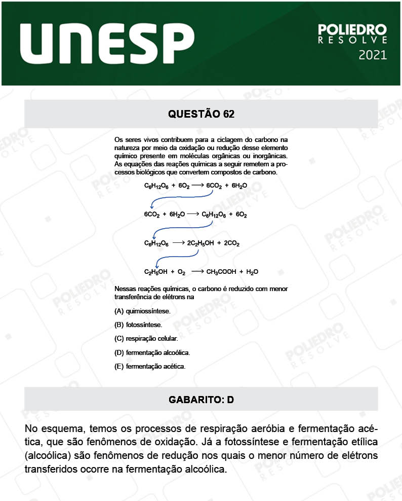 Questão 62 - 1ª Fase - 1º Dia - UNESP 2021