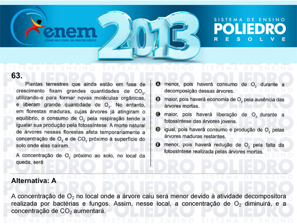 Questão 63 - Sábado (Prova Amarela) - ENEM 2013