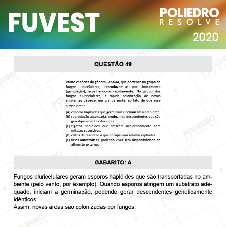 Questão 49 - 1ª Fase - Prova V - FUVEST 2020