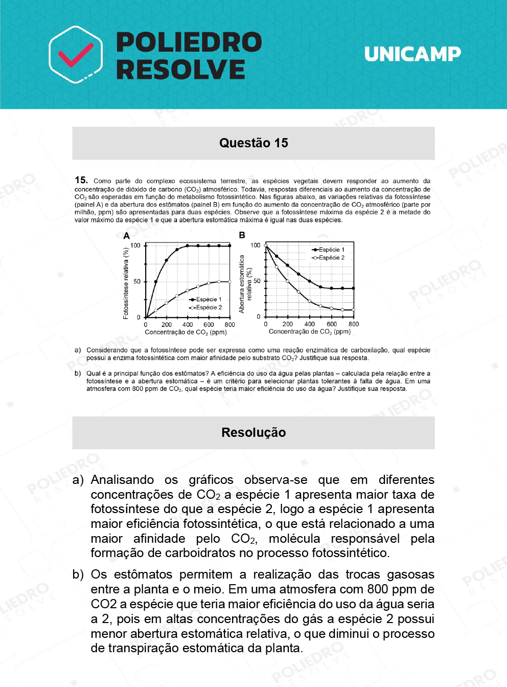 Dissertação 15 - 2ª Fase - 2º Dia - UNICAMP 2022