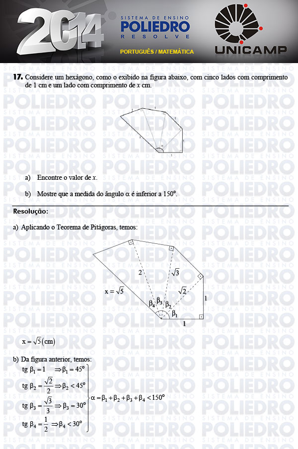 Dissertação 17 - 2ª Fase - UNICAMP 2014