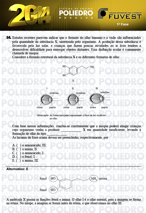 Questão 34 - 1ª Fase - FUVEST 2014