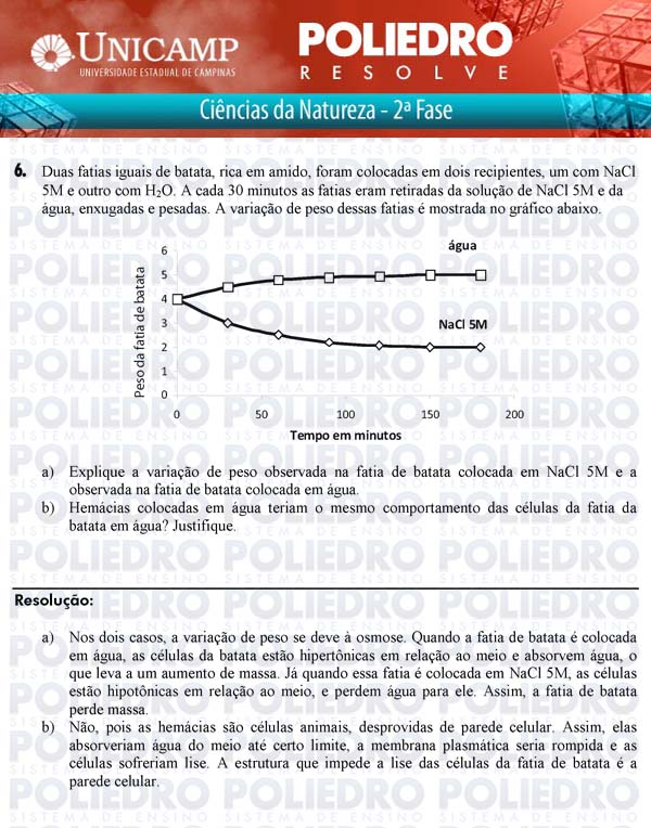 Dissertação 6 - 2ª Fase - UNICAMP 2011