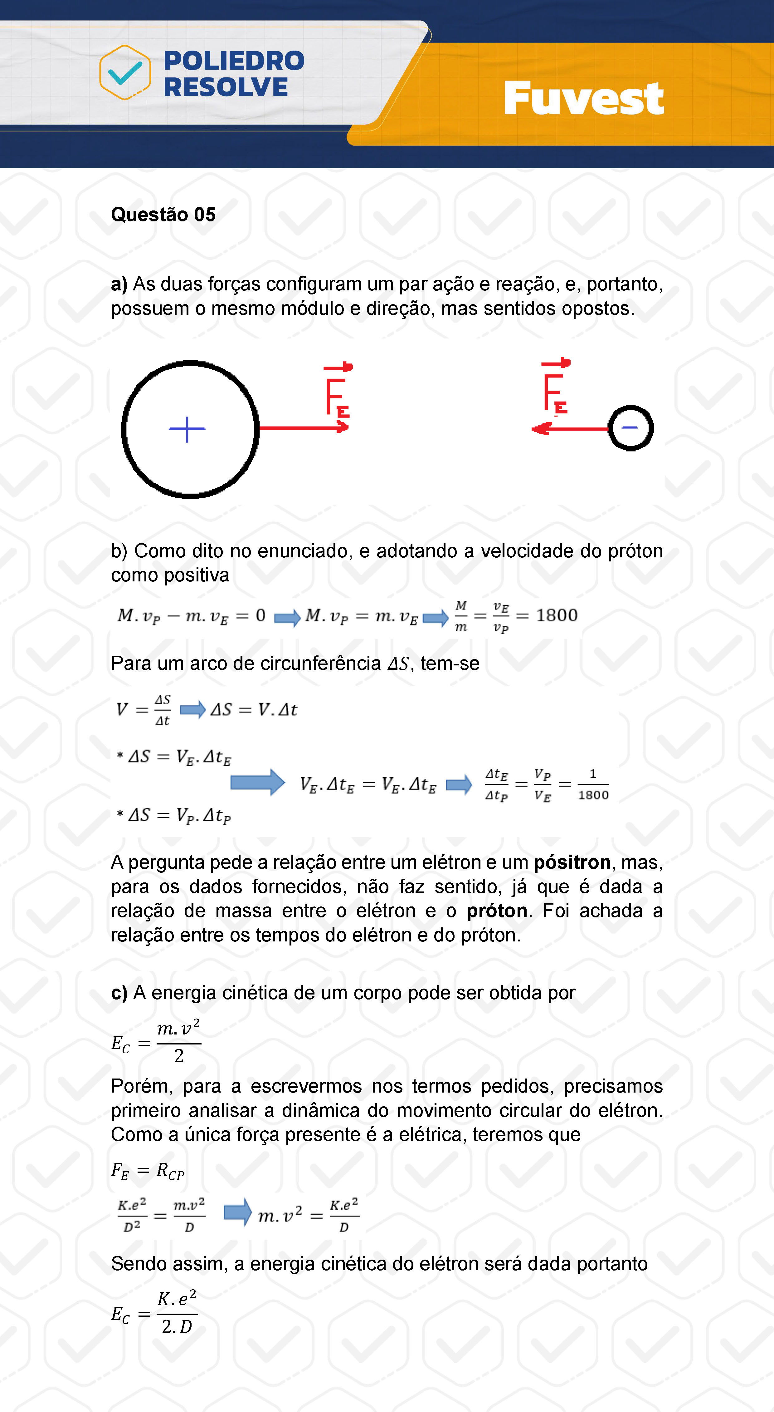 Dissertação 5 - 2ª Fase - 2º Dia - FUVEST 2024