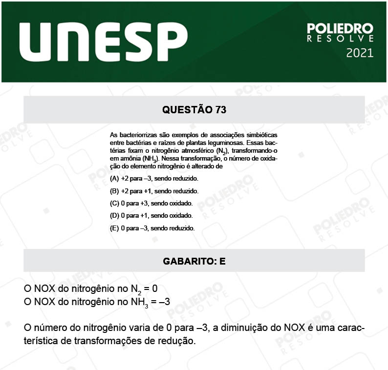 Questão 73 - 1ª Fase - 1º Dia - UNESP 2021