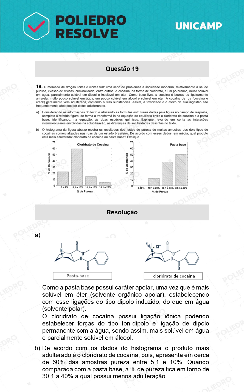 Dissertação 19 - 2ª Fase - 2º Dia - UNICAMP 2022