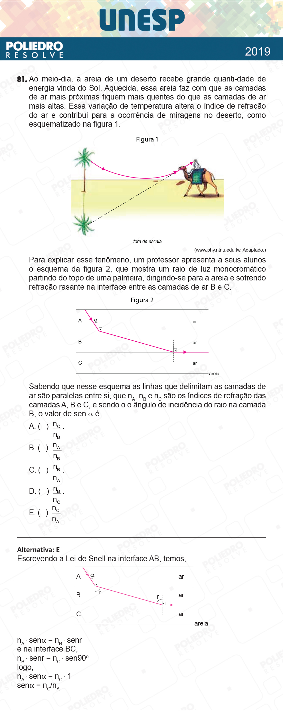 Questão 81 - 1ª Fase - UNESP 2019