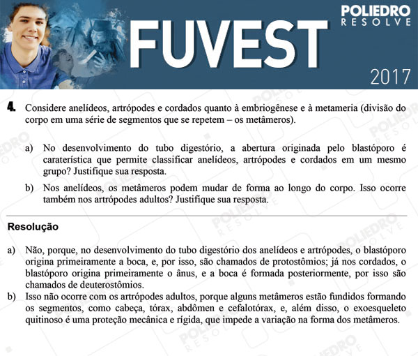 Dissertação 4 - 2ª Fase - 3º Dia - FUVEST 2017