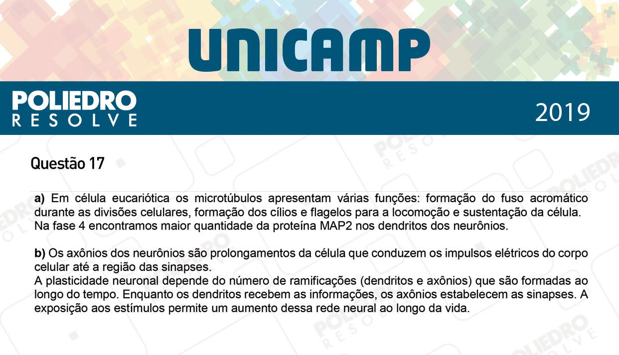 Dissertação 17 - 2ª Fase - 3º Dia - UNICAMP 2019