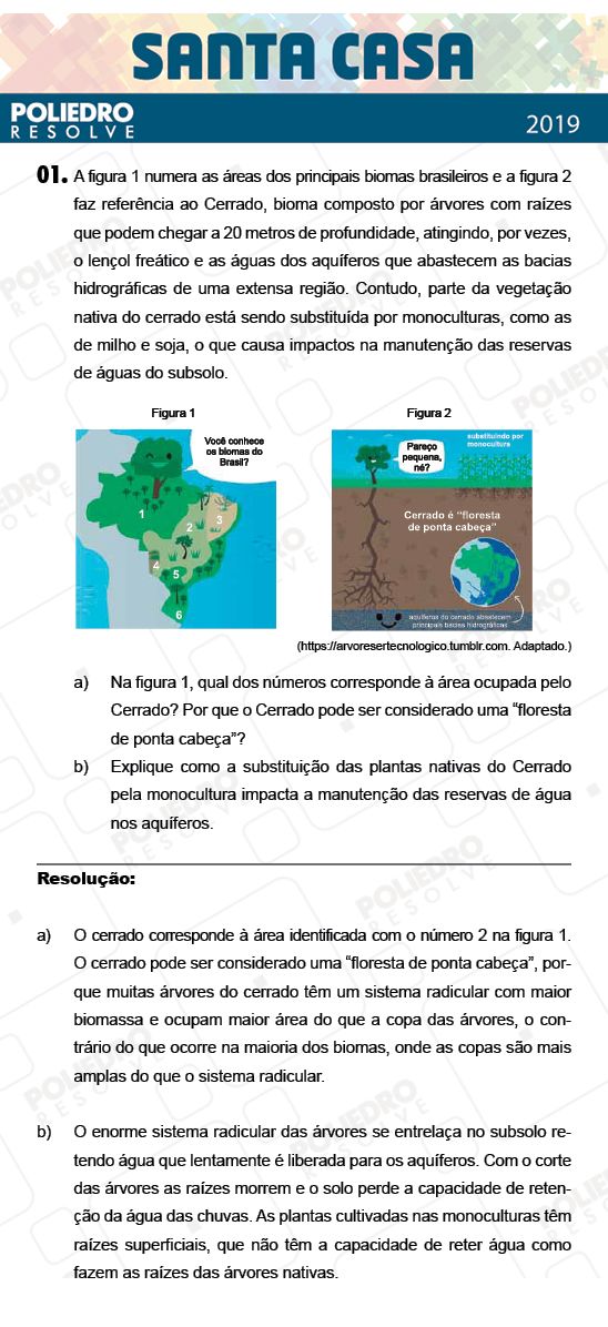 Dissertação 1 - 1º Dia - Dissertativas - SANTA CASA 2019