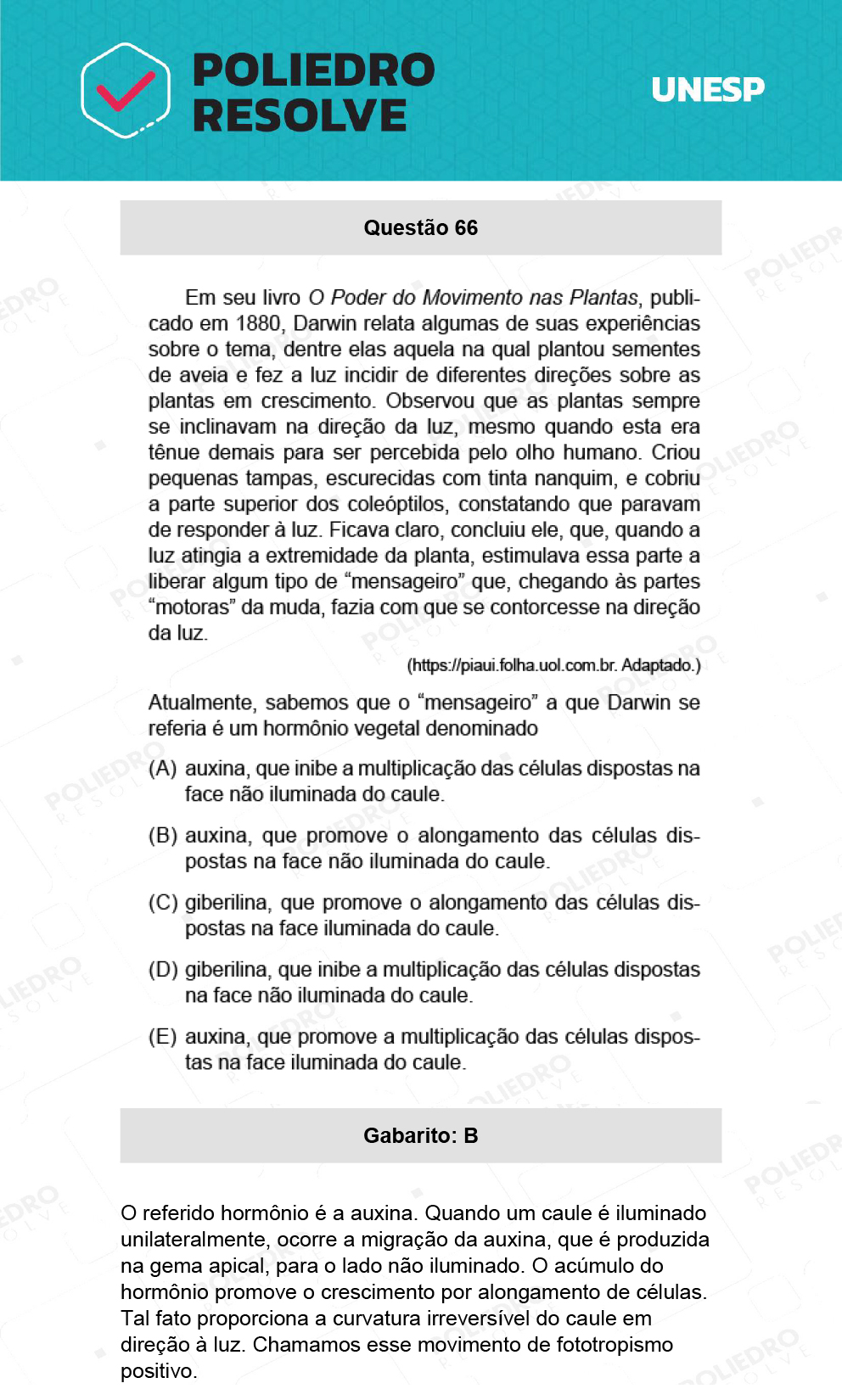 Questão 66 - 1ª Fase - Ext / Hum - UNESP 2022