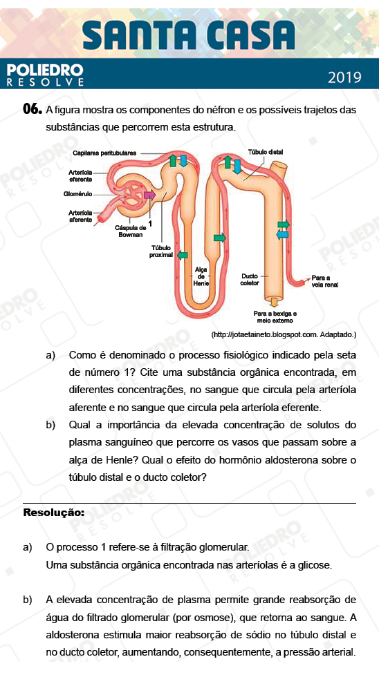 Dissertação 6 - 1º Dia - Dissertativas - SANTA CASA 2019