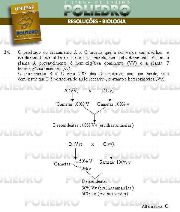 Questão 24 - Conhecimentos Gerais - UNIFESP 2008