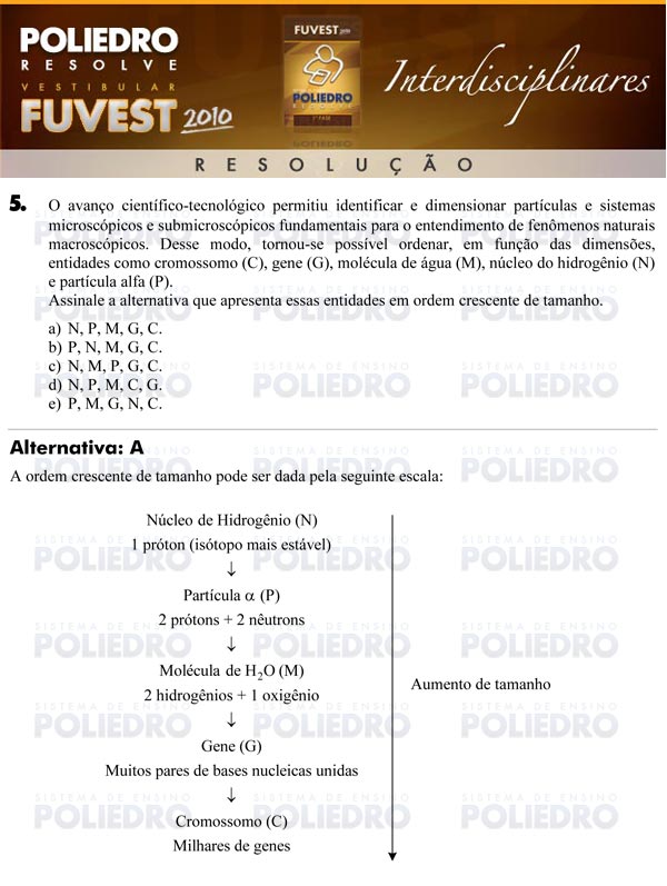 Questão 5 - 1ª Fase - FUVEST 2010