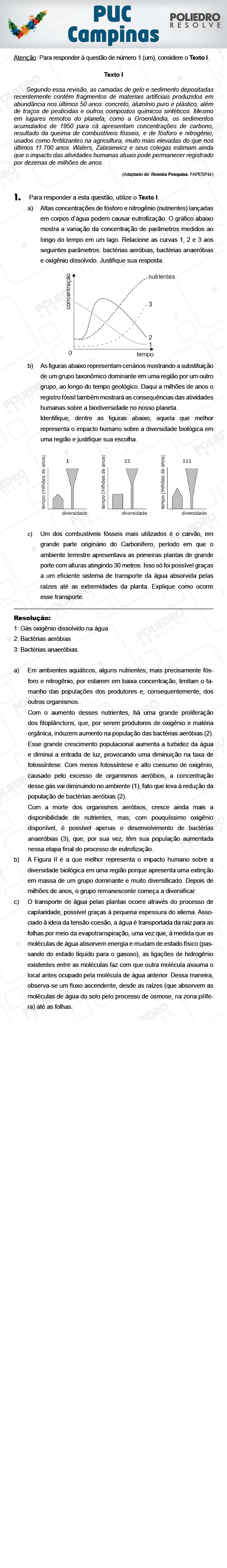 Dissertação 1 - 2ª Fase - PUC-Campinas 2018