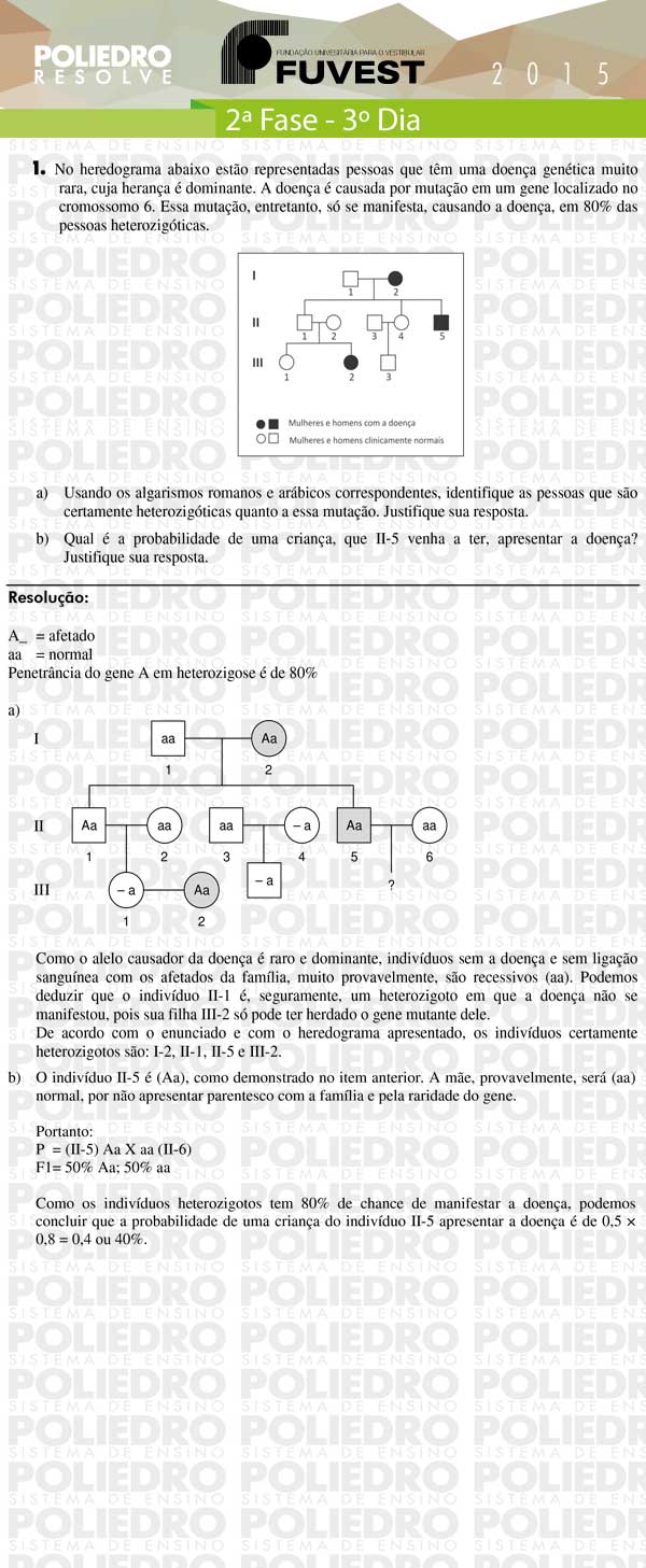 Dissertação 1 - 2ª Fase 3º Dia - FUVEST 2015