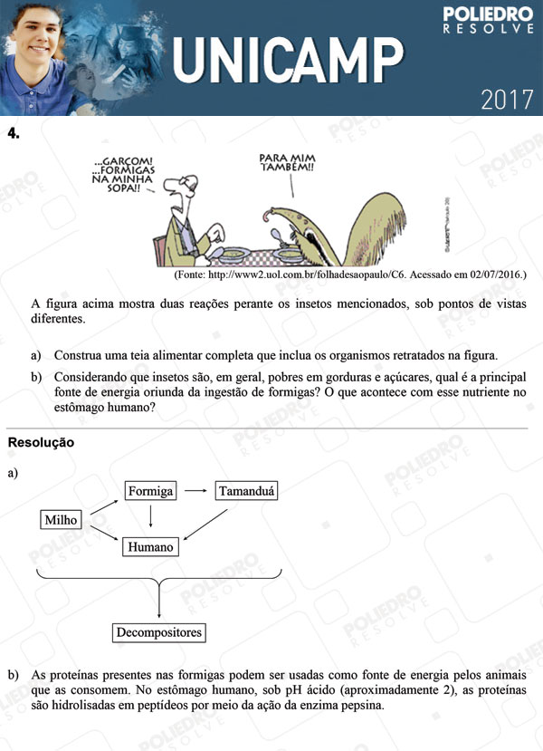 Dissertação 4 - 2ª Fase 3º DIA - UNICAMP 2017