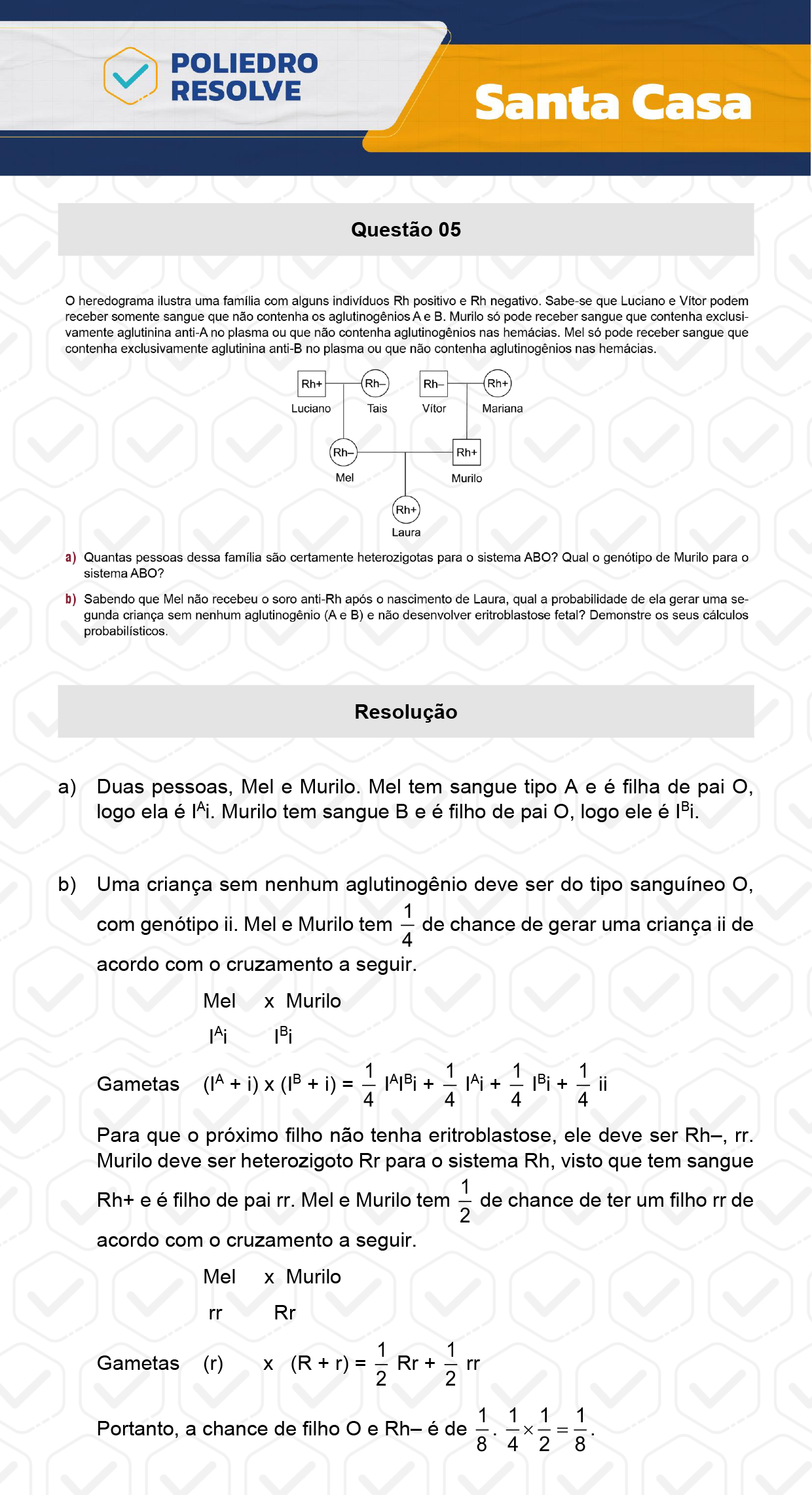 Dissertação 5 - 2º Dia - SANTA CASA 2024