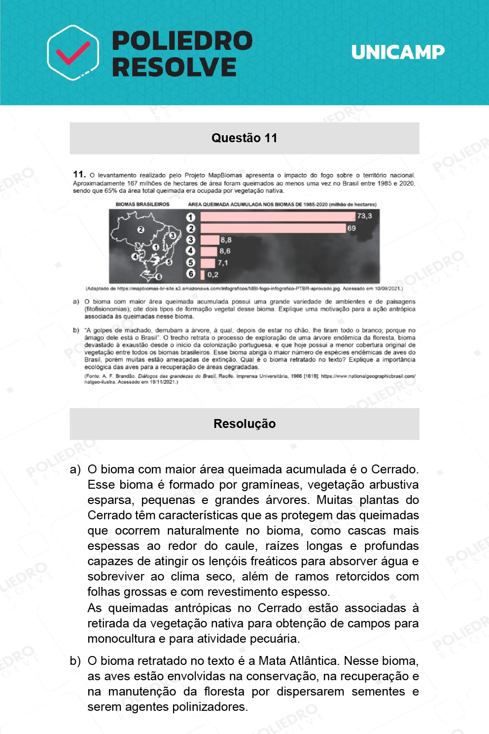 Dissertação 11 - 2ª Fase - 2º Dia - UNICAMP 2022