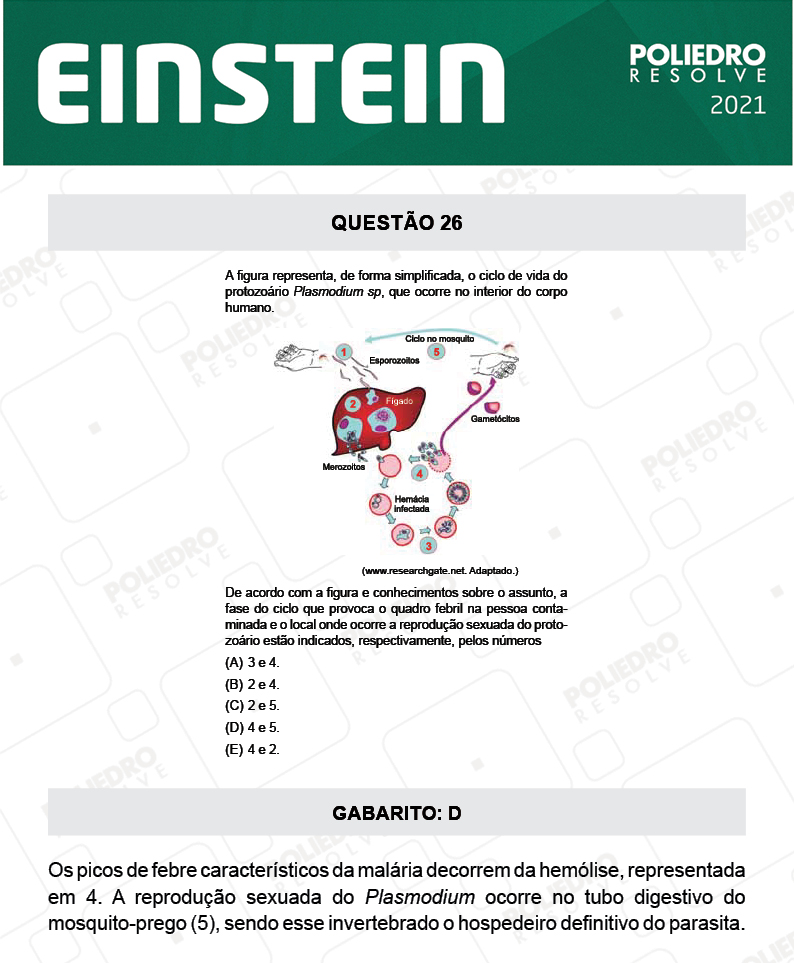 Questão 26 - Fase única - EINSTEIN 2021