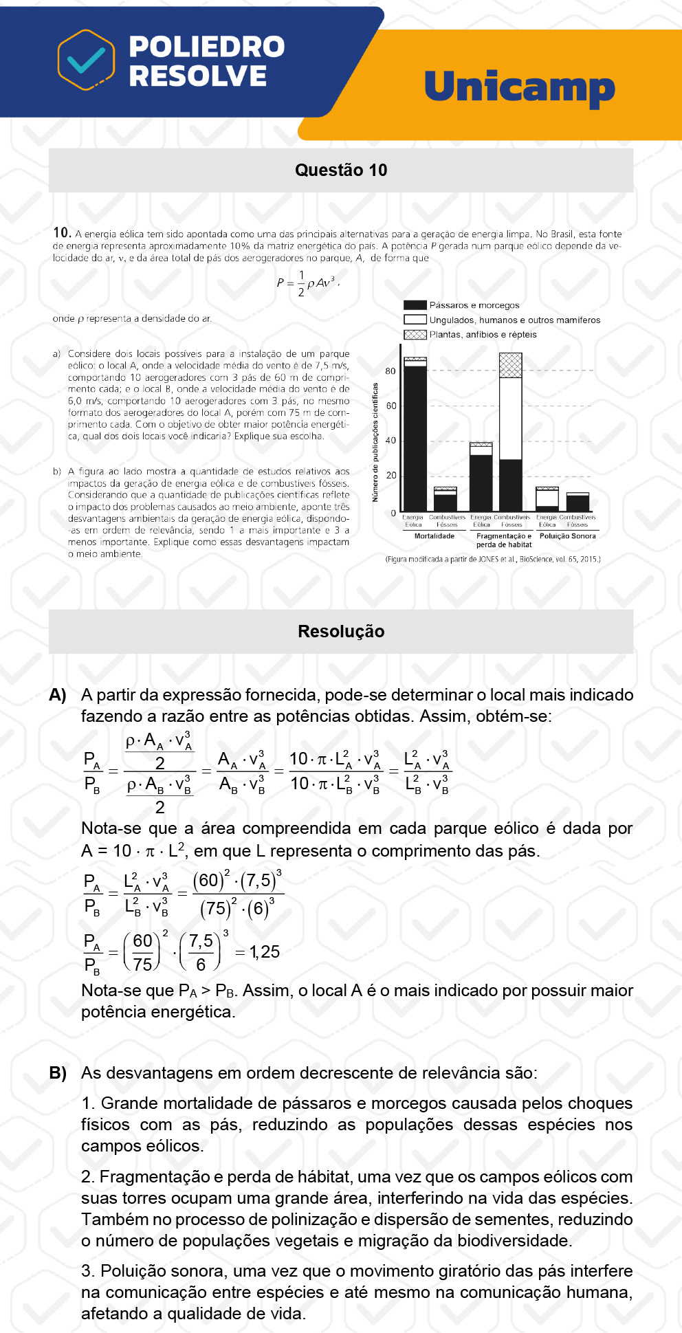 Dissertação 10 - 2ª Fase - 1º Dia - UNICAMP 2023