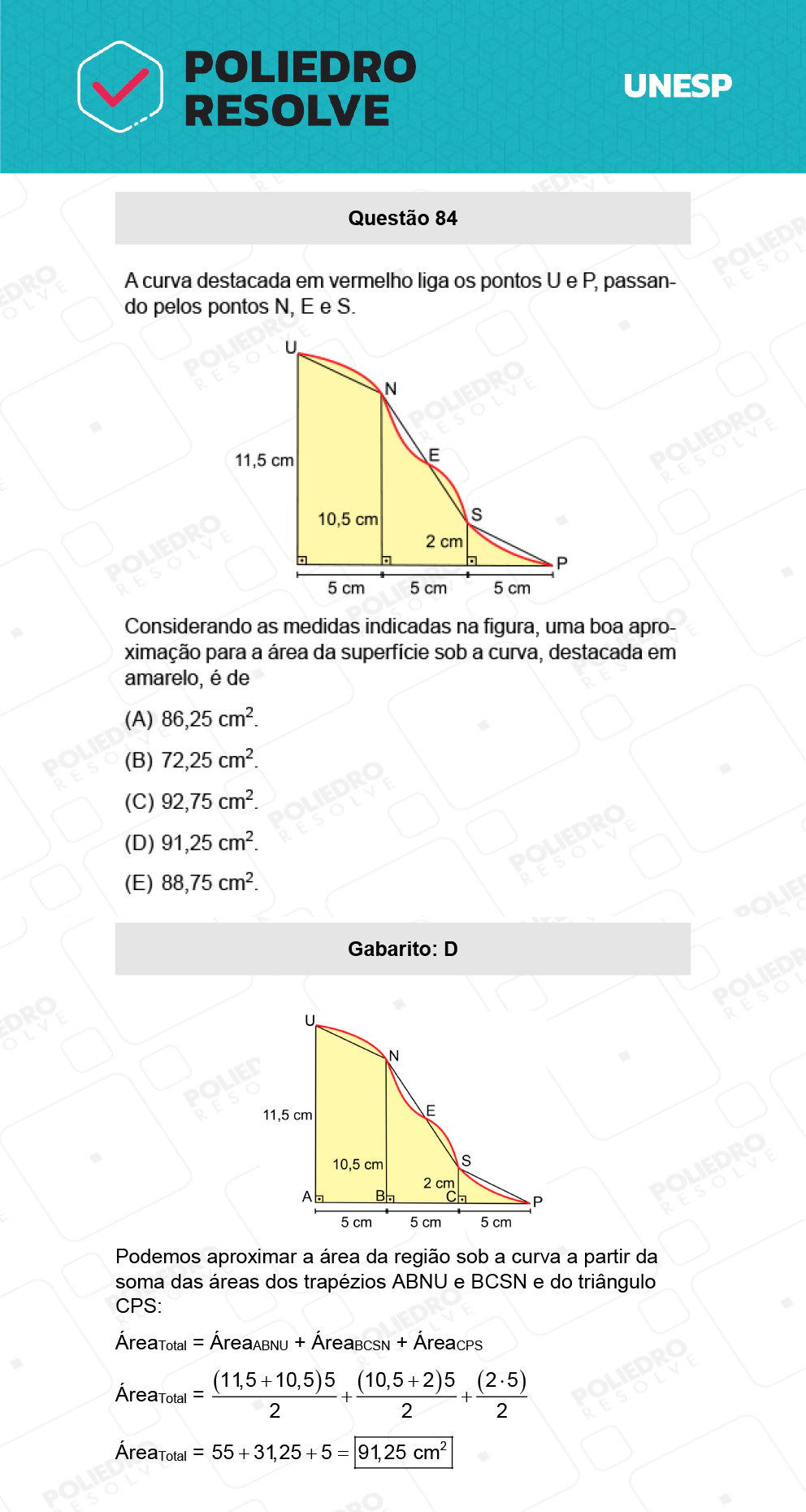 Questão 84 - 1ª Fase - Biológicas - UNESP 2022