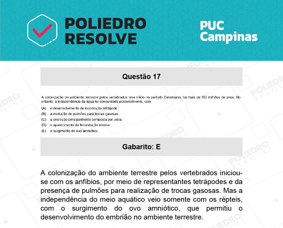 Questão 17 - Demais cursos - PUC-Campinas 2022