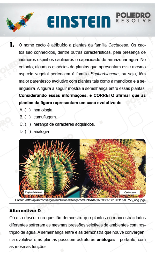 Questão 1 - 1ª FASE - EINSTEIN 2018