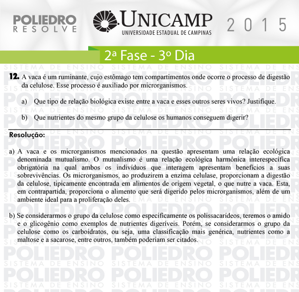 Dissertação 12 - 2ª Fase 3º Dia - UNICAMP 2015