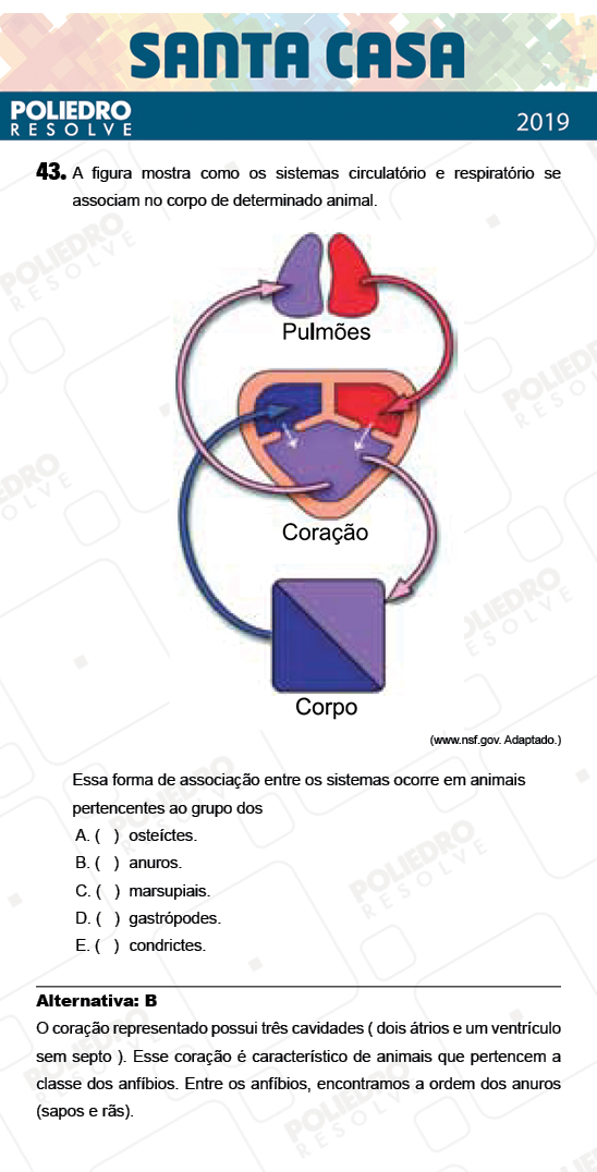 Questão 43 - 2º Dia - Objetivas - SANTA CASA 2019