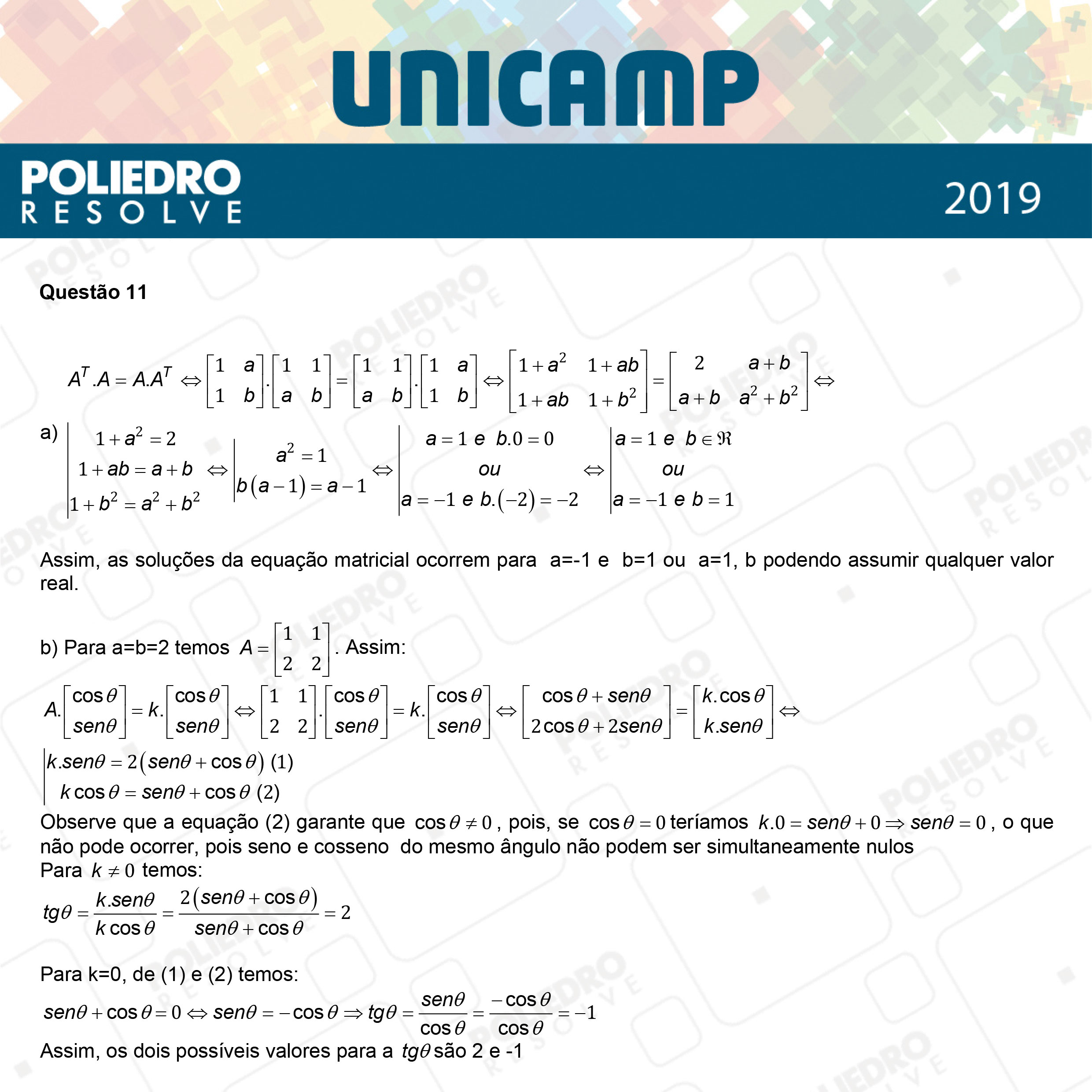 Dissertação 11 - 2ª Fase - 2º Dia - UNICAMP 2019