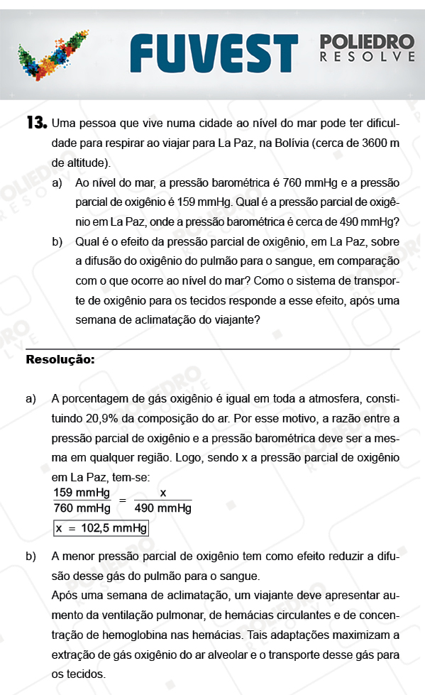 Dissertação 13 - 2ª Fase - 2º Dia - FUVEST 2018