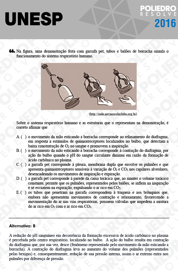 Questão 66 - 1ª Fase - UNESP 2016