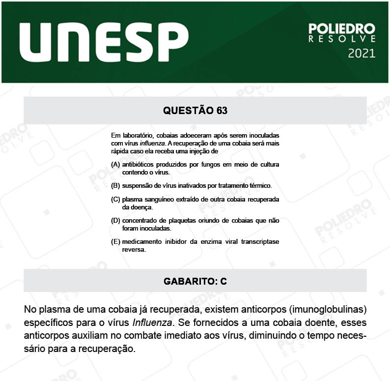 Questão 63 - 1ª Fase - 1º Dia - UNESP 2021