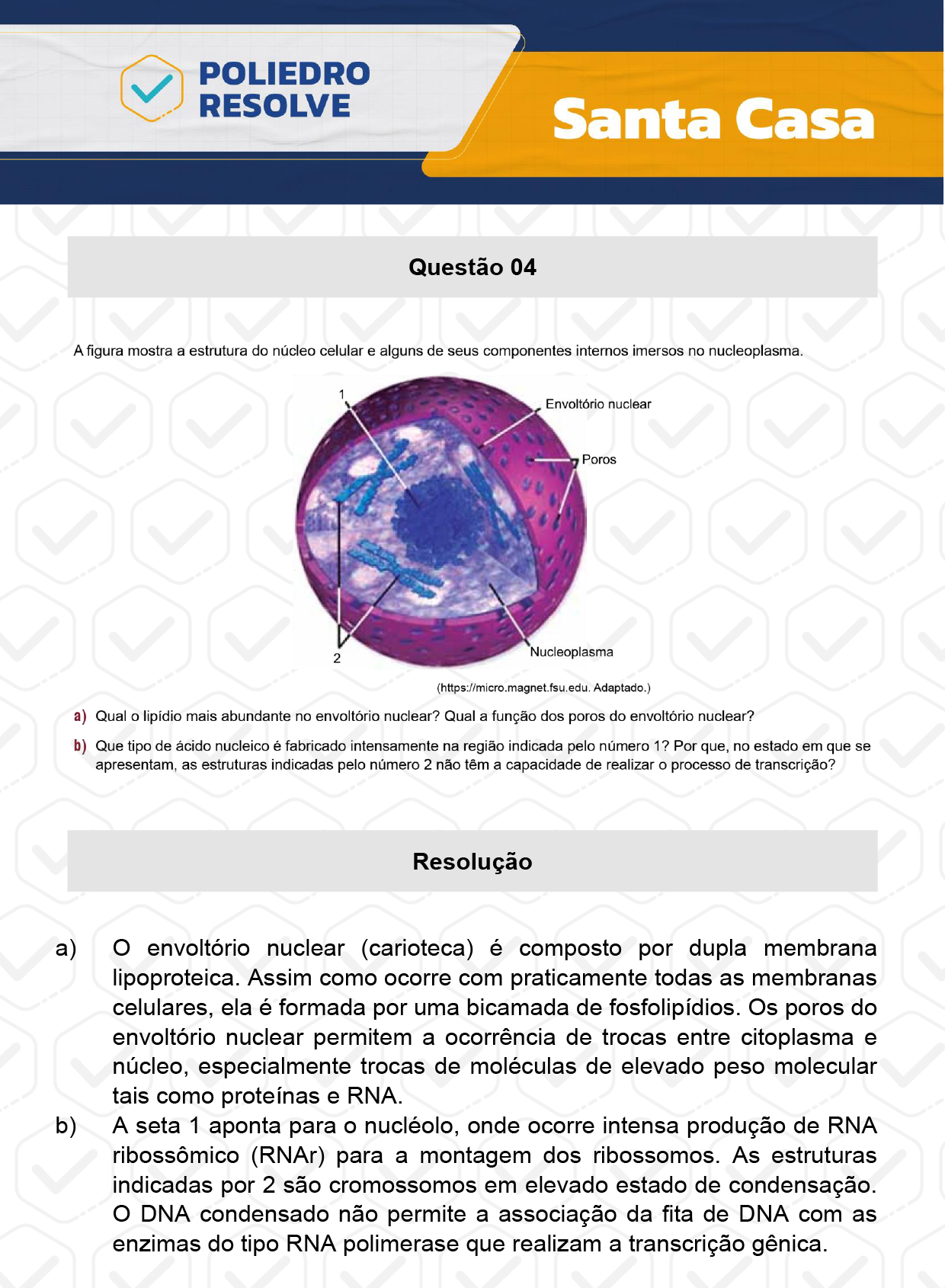 Dissertação 4 - 2º Dia - SANTA CASA 2024