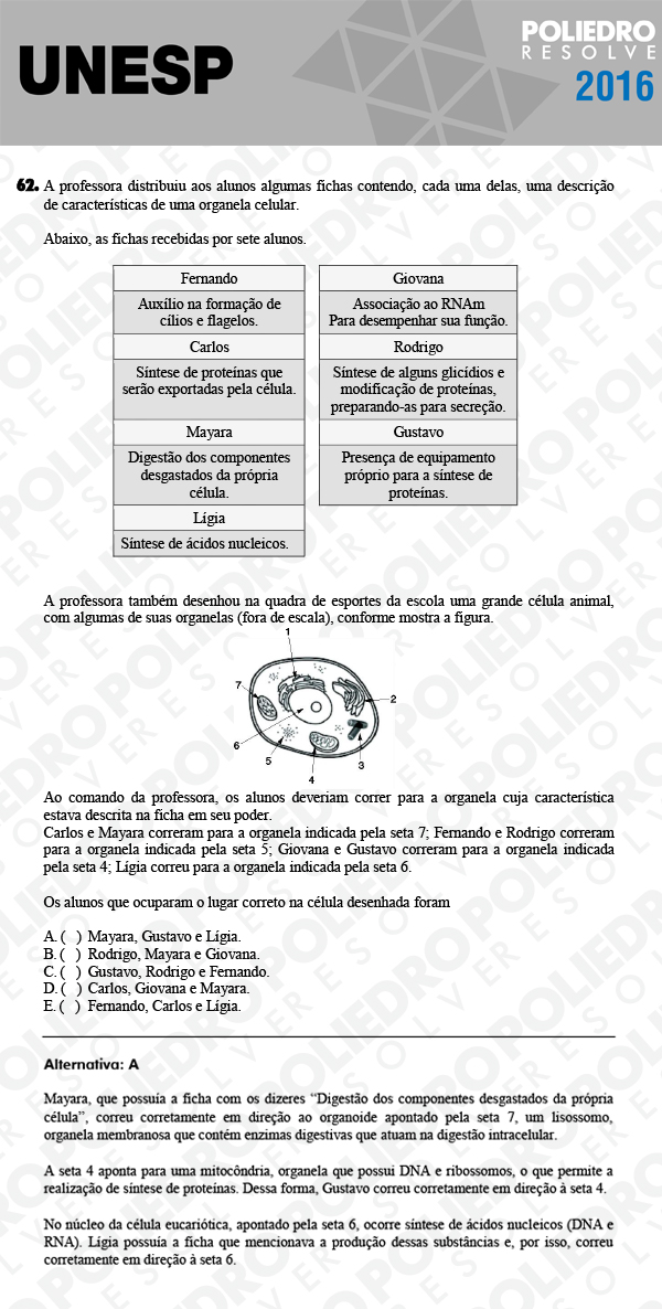 Questão 62 - 1ª Fase - UNESP 2016