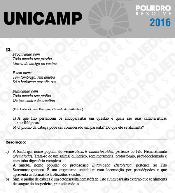 Dissertação 13 - 2ª Fase 3º Dia - UNICAMP 2016