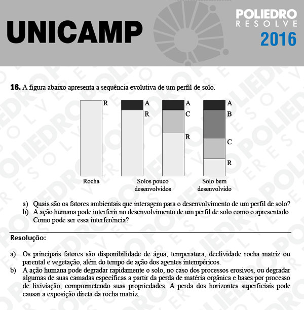 Dissertação 16 - 2ª Fase 2º Dia - UNICAMP 2016