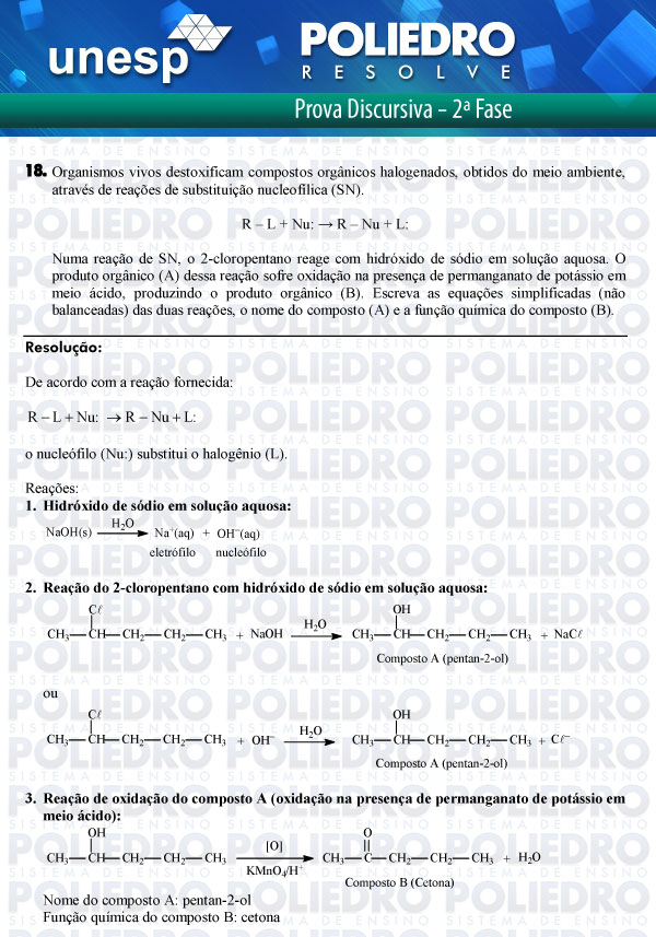 Dissertação 18 - 2ª Fase - UNESP 2012