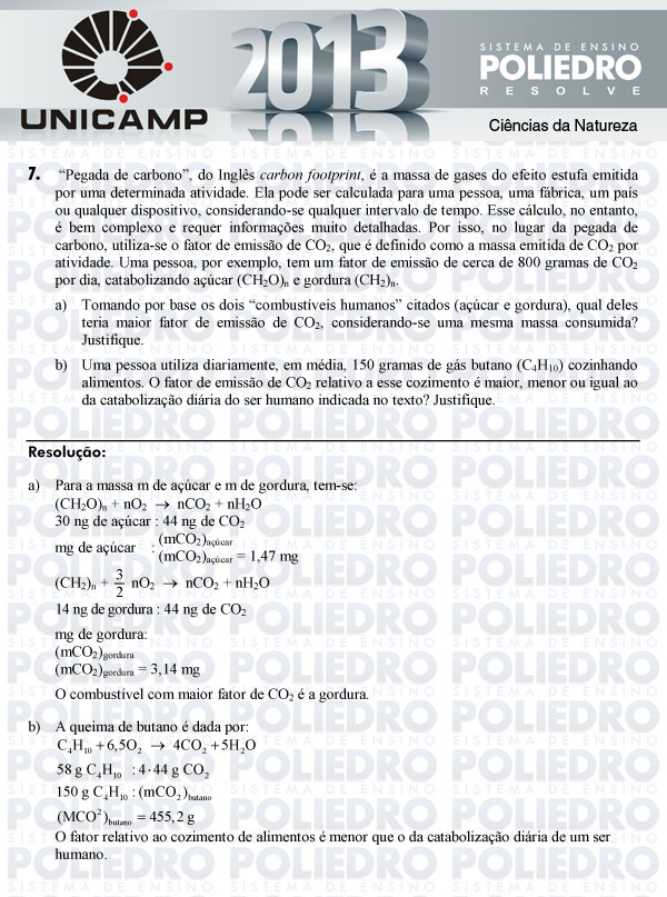 Dissertação 7 - 2ª Fase - UNICAMP 2013