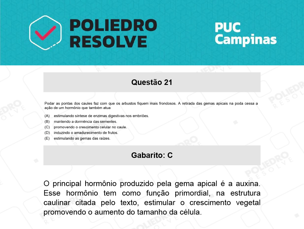 Questão 21 - Prova Geral e Medicina - PUC-Campinas 2022