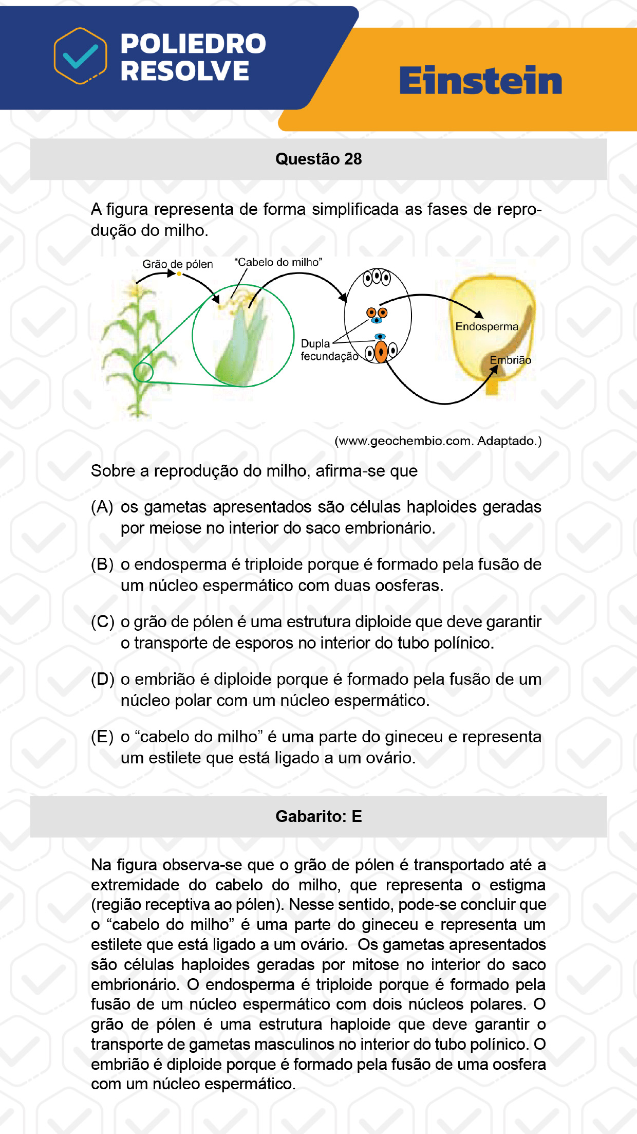 Questão 28 - Fase única - EINSTEIN 2023
