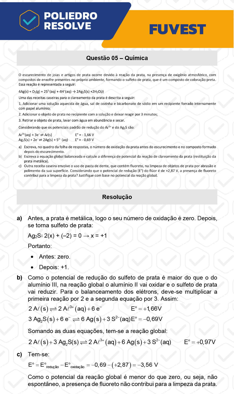 Dissertação 5 - 2ª Fase - 2º Dia - FUVEST 2023