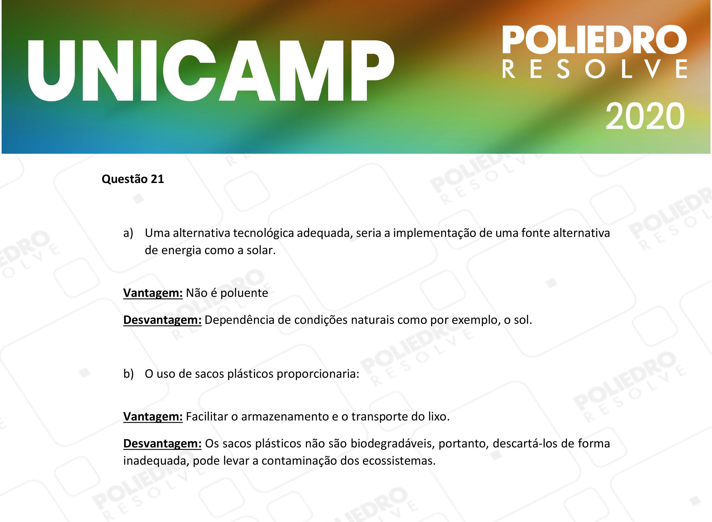 Dissertação 21 - 2ª Fase - 2º Dia - UNICAMP 2020