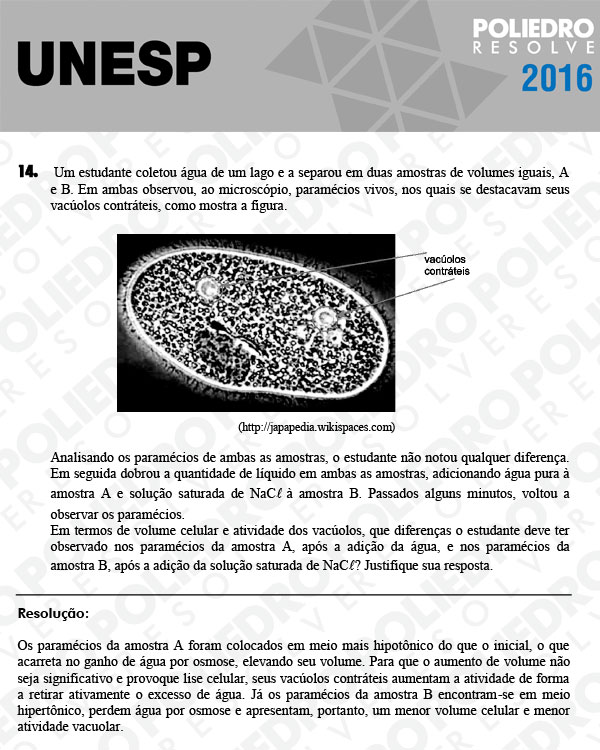 Dissertação 14 - 2ª Fase - UNESP 2016