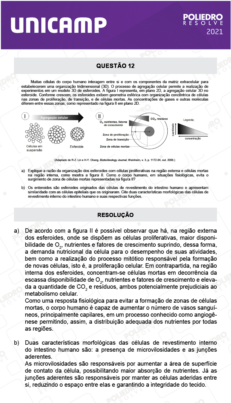 Dissertação 12 - 2ª Fase - 2º Dia - UNICAMP 2021