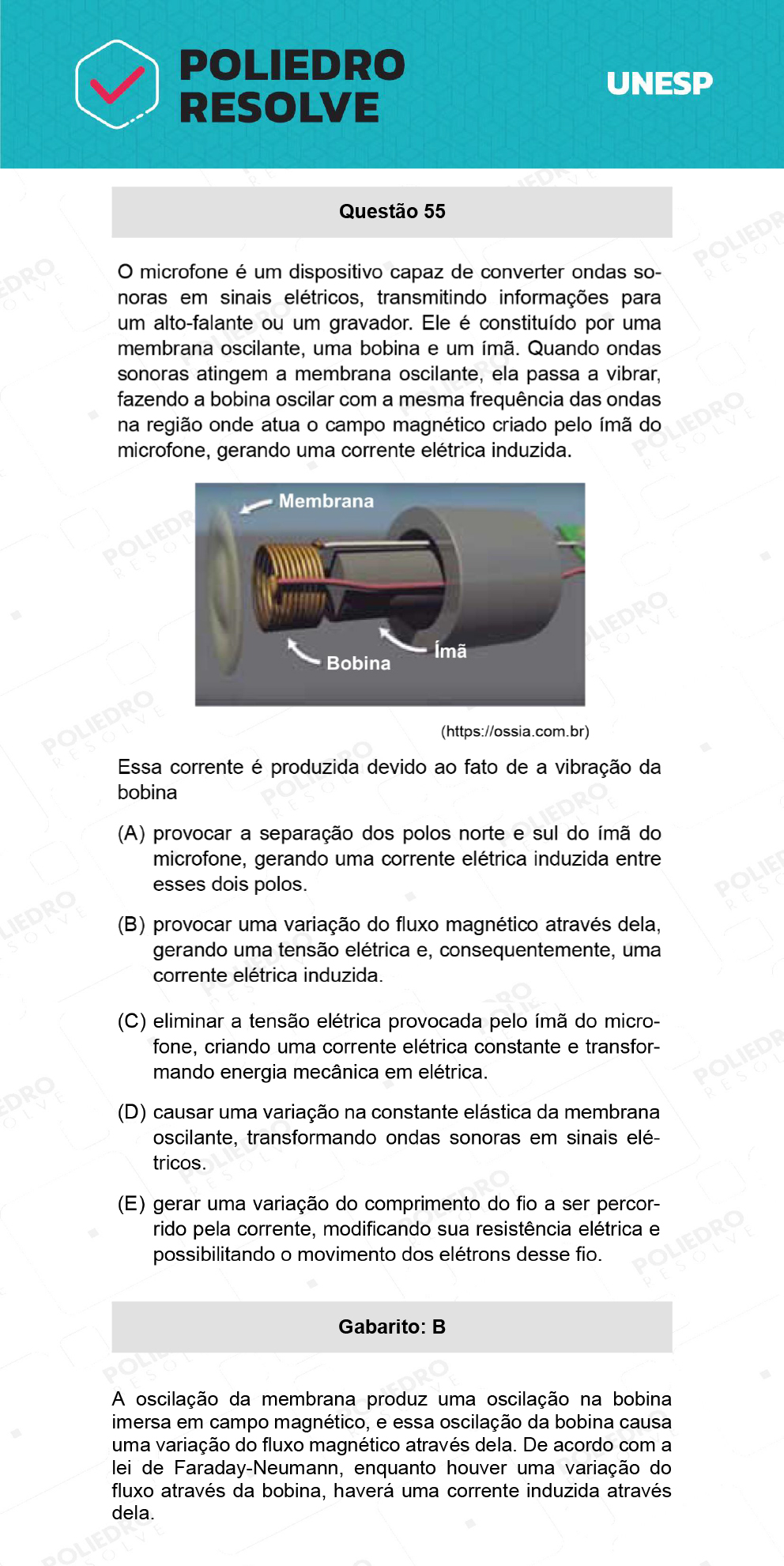 Questão 55 - 2ª Fase - UNESP 2022