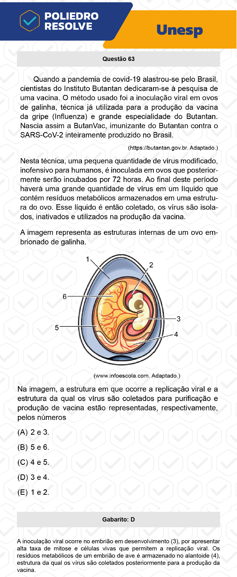 Questão 63 - 1ª Fase - UNESP 2023